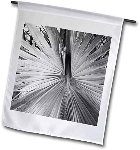 Триизмерно изображение на черно-бели палмово растение в близък план, снимка - знамена (fl_355875_1)