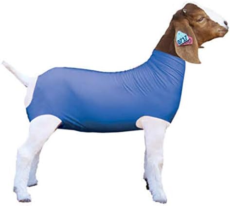 Show Pro Син Еластичен Козе тубичка за Изложбени кози - Аксесоари за изложбени животни: Кози шалтета и попоны