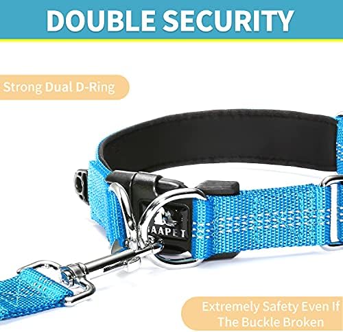 Удобна яка BAAPET за кучета с Двойно D-образен пръстен на сигурността и закачалка за идентификация за малки