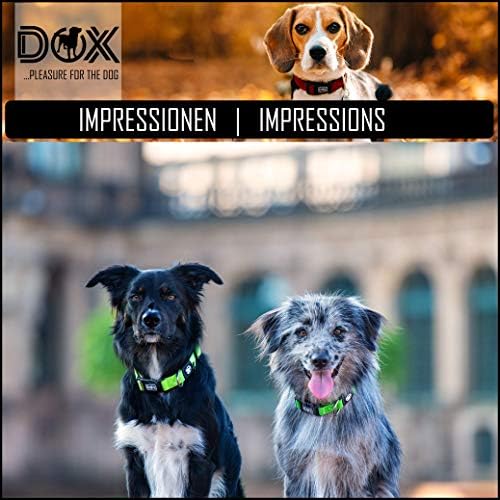 Нашийник за кучета DDOXX Airmesh - Трайни и Регулируеми Нашийници за Кучета - S (Жълт)