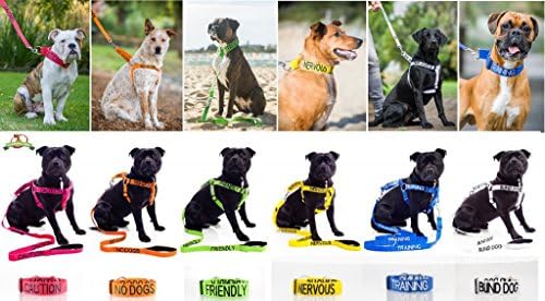 Нашийник за кучета с неопреновой подплата Dexil Limited DO NOT ПЕТ Червен цвят с кодиране S-M-L-XL Предотвратява