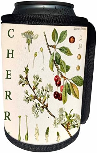 Кухненско изкуство 3dRose Cherry - Реколта листа от плод дърво. - Опаковки за бутилки-охладители (cc-365443-1)