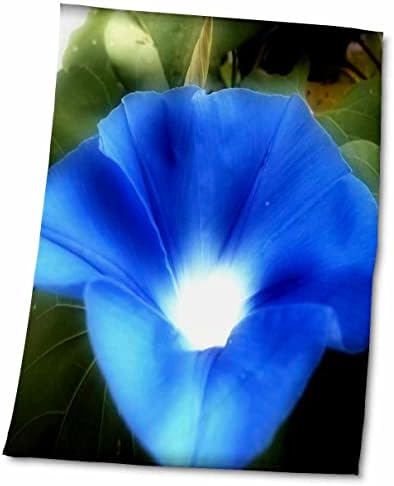 3dRose Light In a Morning Glory - това е красиво синьо кърпа във формата на цвете в утринна слава (twl-232033-3)