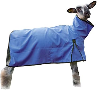 Одеало за овце от Текстилна на Кожата, Лигавицата на Окото е Много Малка, Синьо